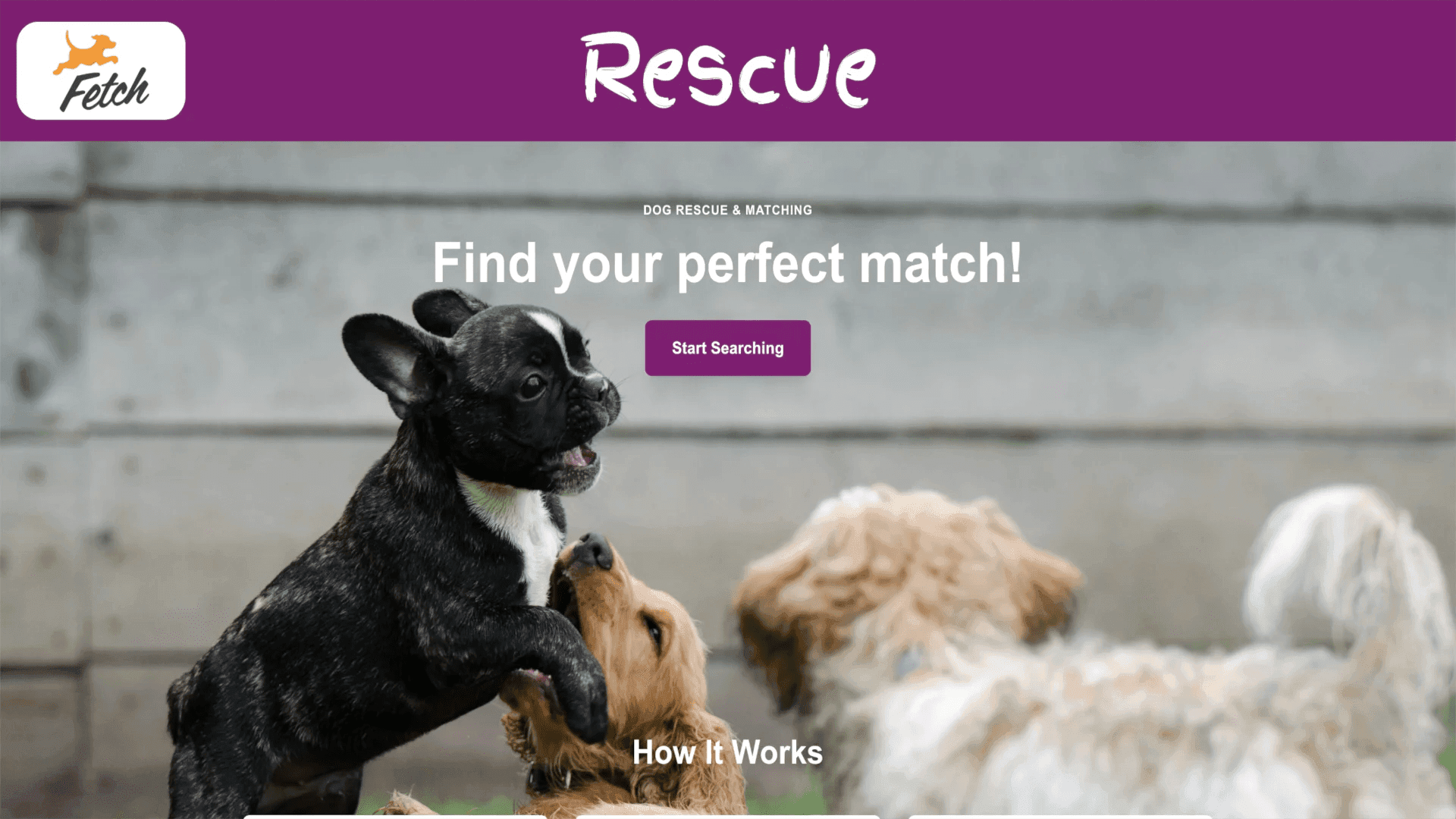 Fetch Rescue